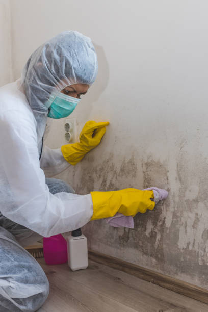 Best Forensic Mold Investigation  in Richmond Heights, OH