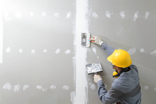 Best Commercial Mold Inspection  in Richmond Heights, OH