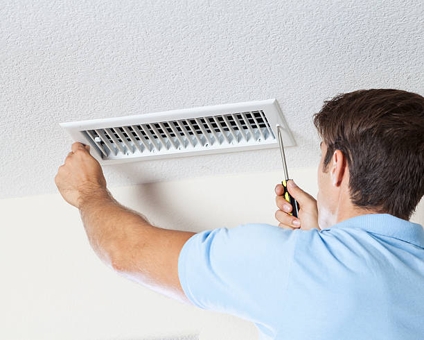 Best Basement Mold Removal  in Richmond Heights, OH