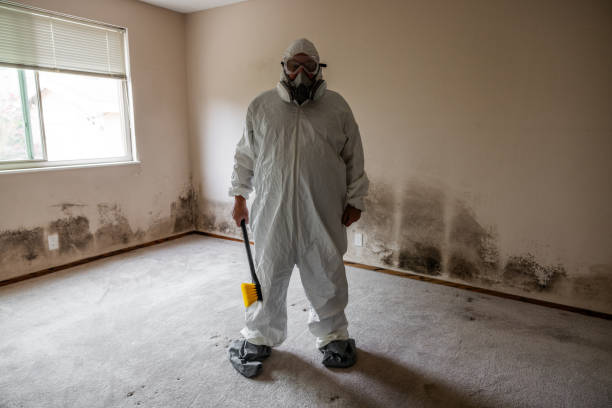 Best Crawl Space Mold Remediation  in Richmond Heights, OH